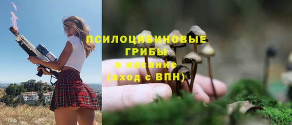эйфоретик Надым