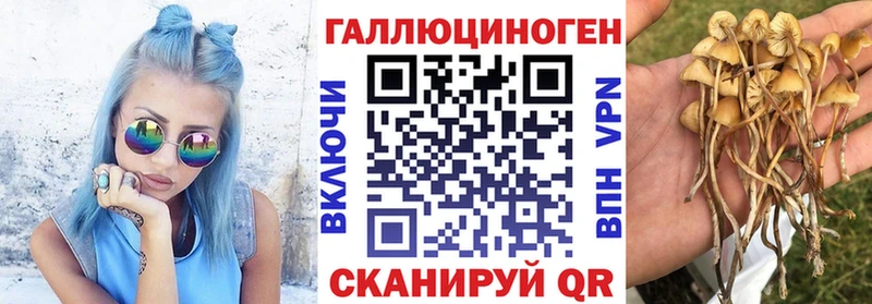 Купить закладки  Мезень  Псилоцибиновые грибы ЛСД 